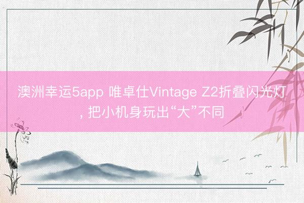 澳洲幸运5app 唯卓仕Vintage Z2折叠闪光灯, 把小机身玩出“大”不同