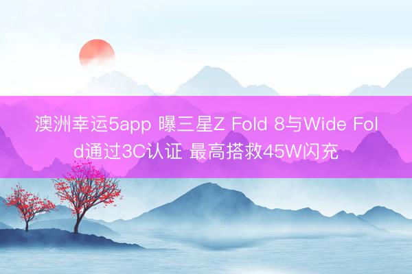 澳洲幸运5app 曝三星Z Fold 8与Wide Fold通过3C认证 最高搭救45W闪充