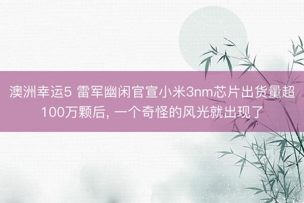 澳洲幸运5 雷军幽闲官宣小米3nm芯片出货量超100万颗后, 一个奇怪的风光就出现了